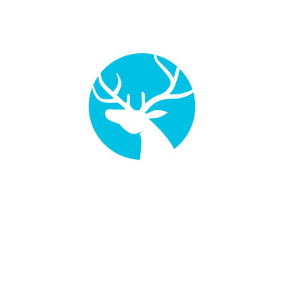 扫描微信
